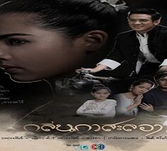 Scent of Love 2019 (Tayland)