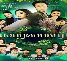 Crowns of Grass 2020 (Tayland)
