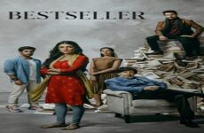 Bestseller 2022 (Hindistan)
