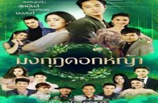 Crowns of Grass 2020 (Tayland)