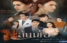 Fai Sin Chua 2020 (Tayland)