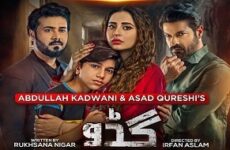 Guddu 2022 (Pakistan)
