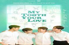 My Tooth Your Love 2022 (Tayvan)