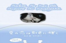 Natsu no Koi wa Nijiiro ni Kagayaku 2010 (Japon)