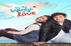 On the Wings of Love 2014 (Filipinler)