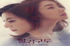 Red Shoes 2021 (Kore)