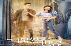 Serendipity 2021 (Çin)