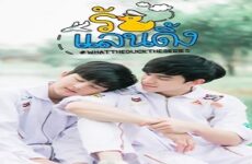 What The Duck The Series 2017 (Tayland)