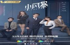 You Complete Me 2020 (Çin)