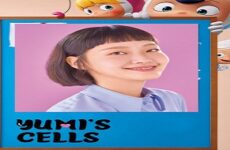 Yumi’s Cells 2022 2.Sezon (Kore)