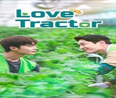 Love Tractor 2023 (Kore)