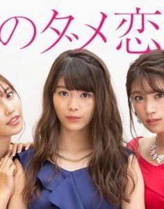 Shinya no Damekoi Zukan 2018 (Japon)