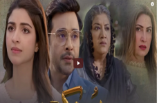 Hook: Roses and thorns—love and revenge 2023 (Pakistan)