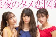Shinya no Damekoi Zukan 2018 (Japon)